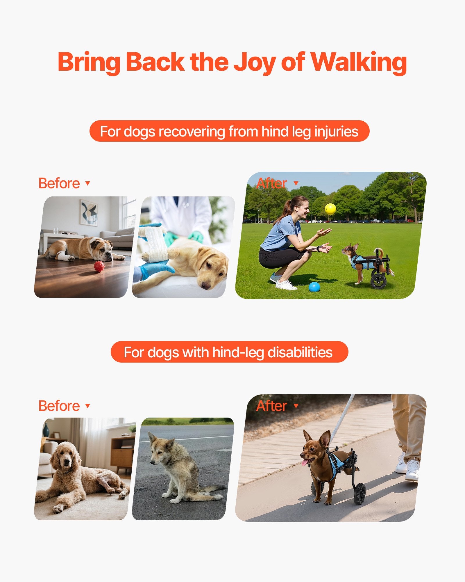 Dog Wheelchair For Back Legs, Adjustable 2 Wheels Pet Wheelchair, Lightweight  Dog Cart With Shock-Absorbing Wheels, Mobility Support Wheel Chair For Disabled Injured Dogs Up To 22lbs , X-Small
